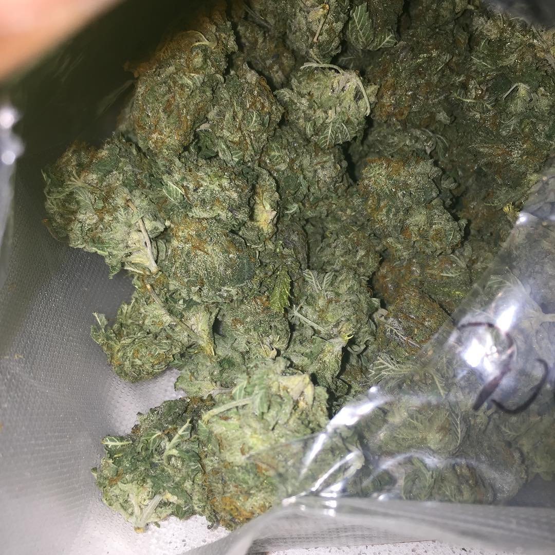 Buy Jack Herer Online in Dubai