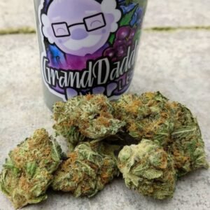 Buy Granddaddy Purple Online in Dubai