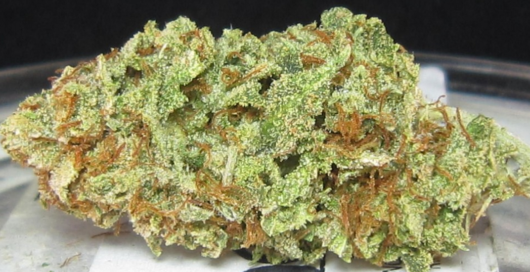 Buy Sour Diesel Online in Dubai