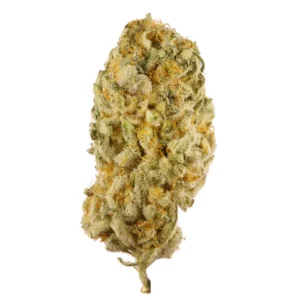 Buy Jack Herer Online in Dubai